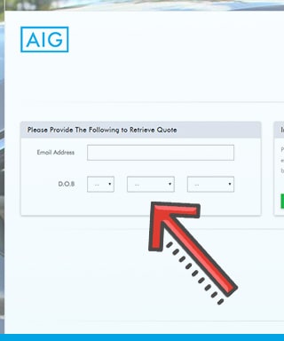 Renewal Verification