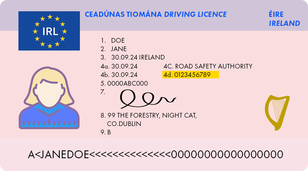 Irish driving licence
