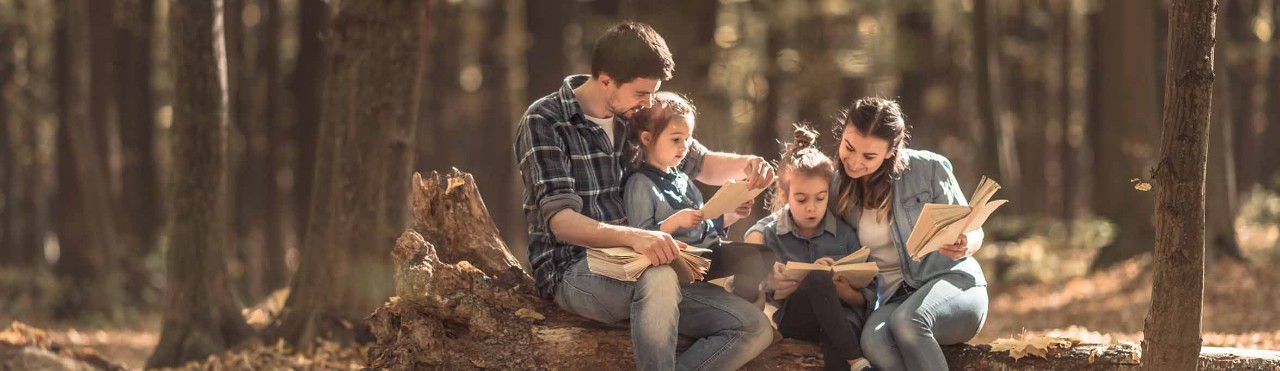 family activities in the wood