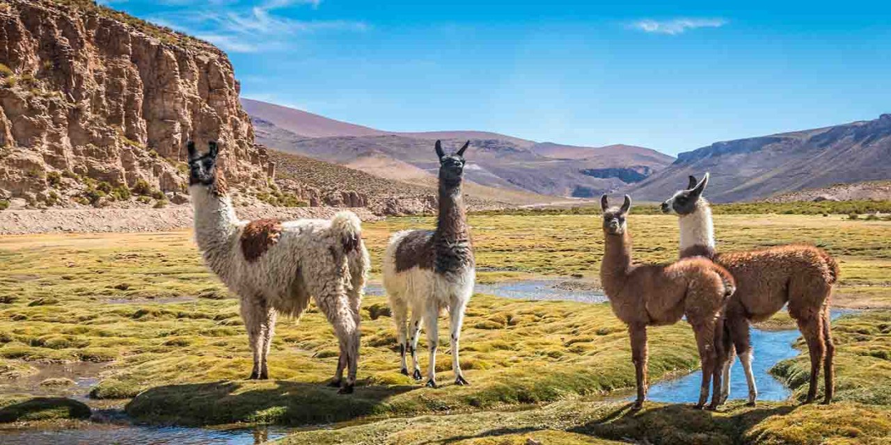  South America