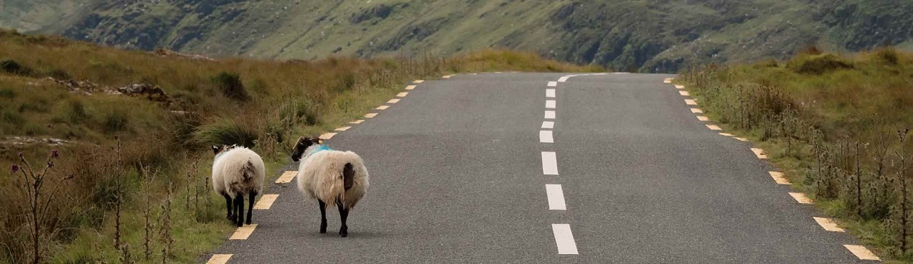  Irish Motorway M7