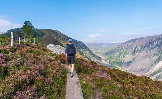 Man hiking on a boardwalk up the hill on the Spinc trail, overlooking the Glenealo Valley, in Wicklow Mountains, Ireland