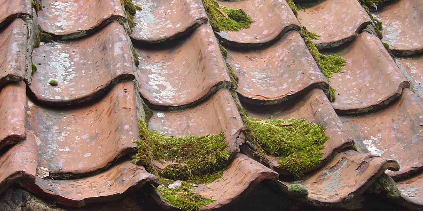 Roof maintenance tips