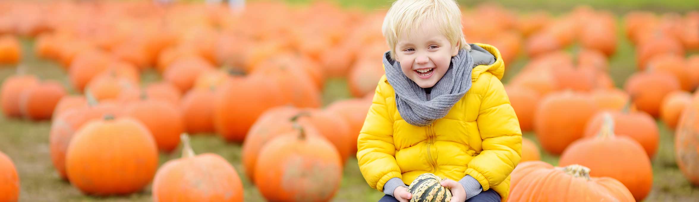  Kid sitting in a pumpkin patch